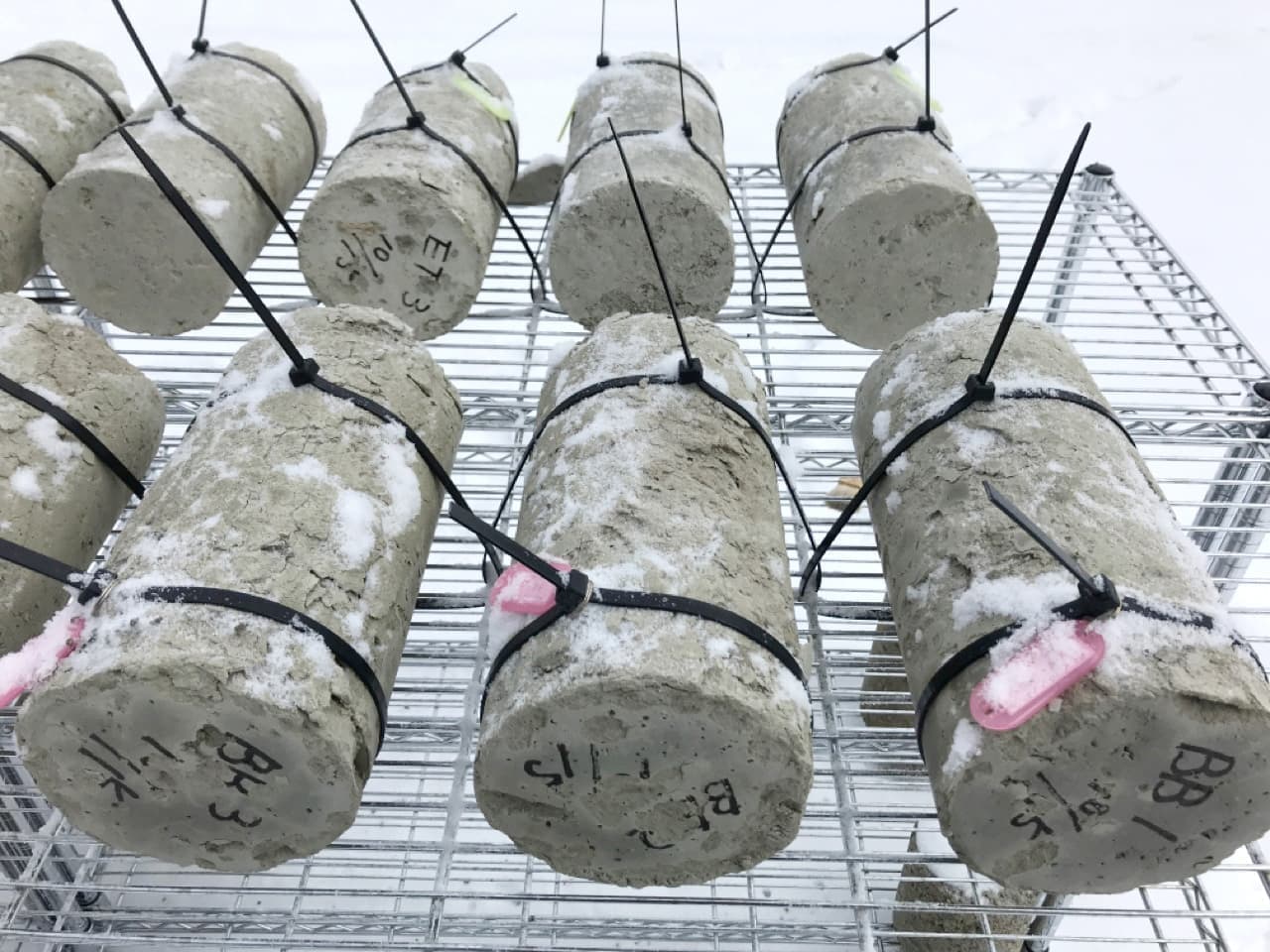 図2.北海道での暴露試験