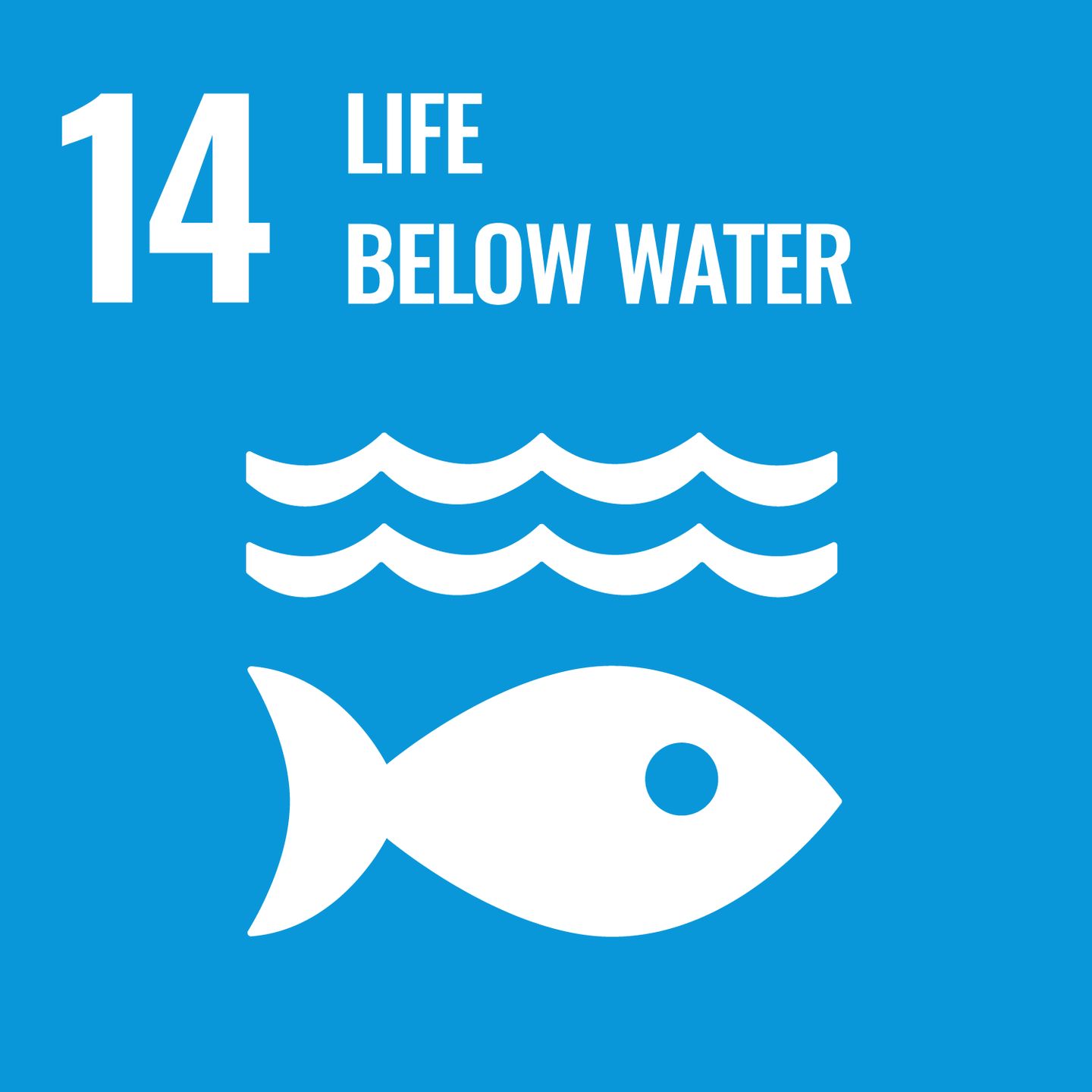 SDGs Icon No.14