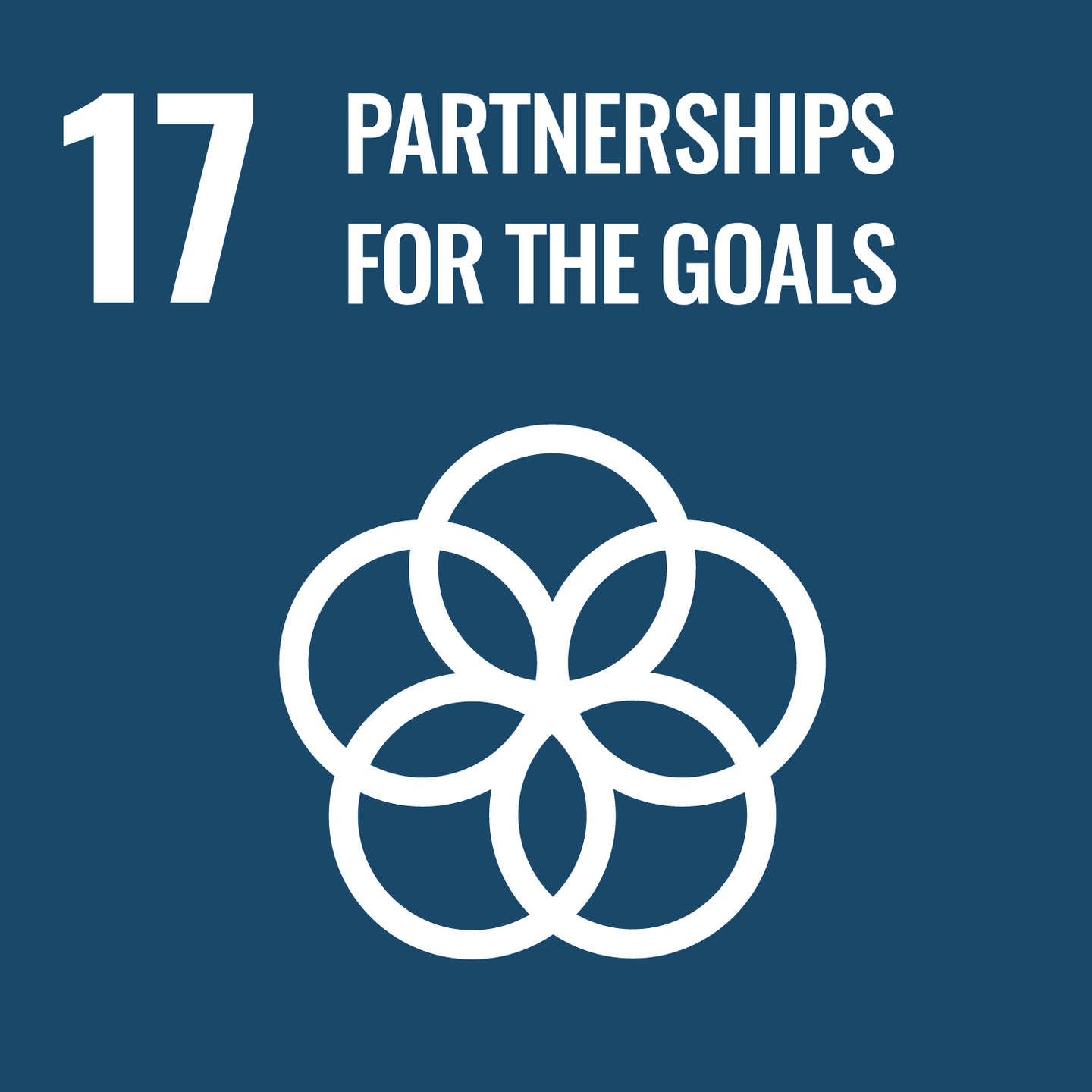 SDGs Icon No.17