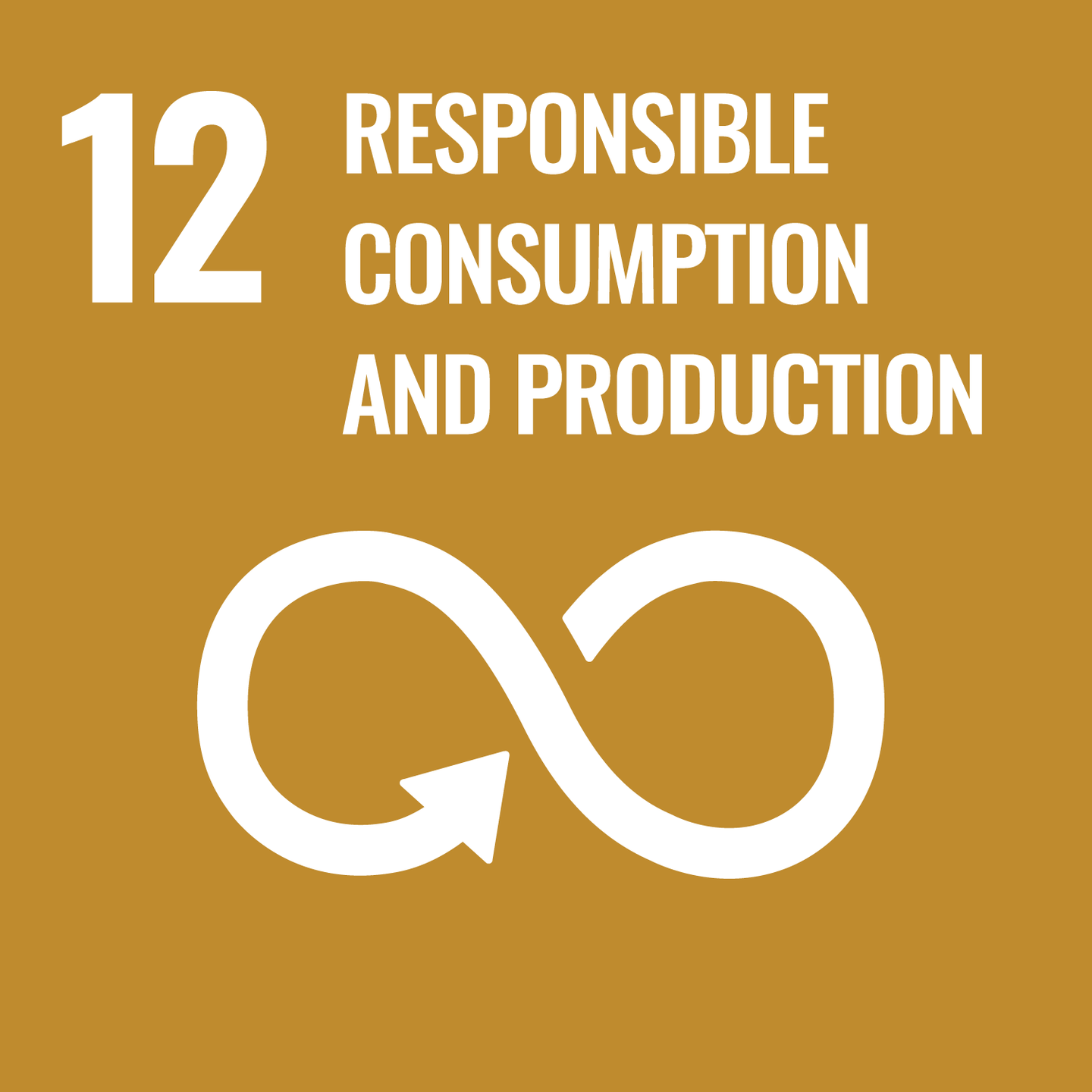 SDGs Icon No.12